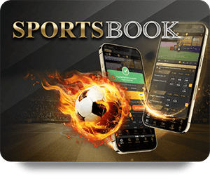 Discover the Thrills of SBOTOP Live Dealer Hot Experience